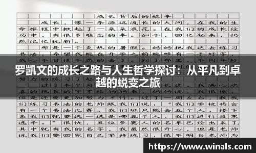 江南.体育jn